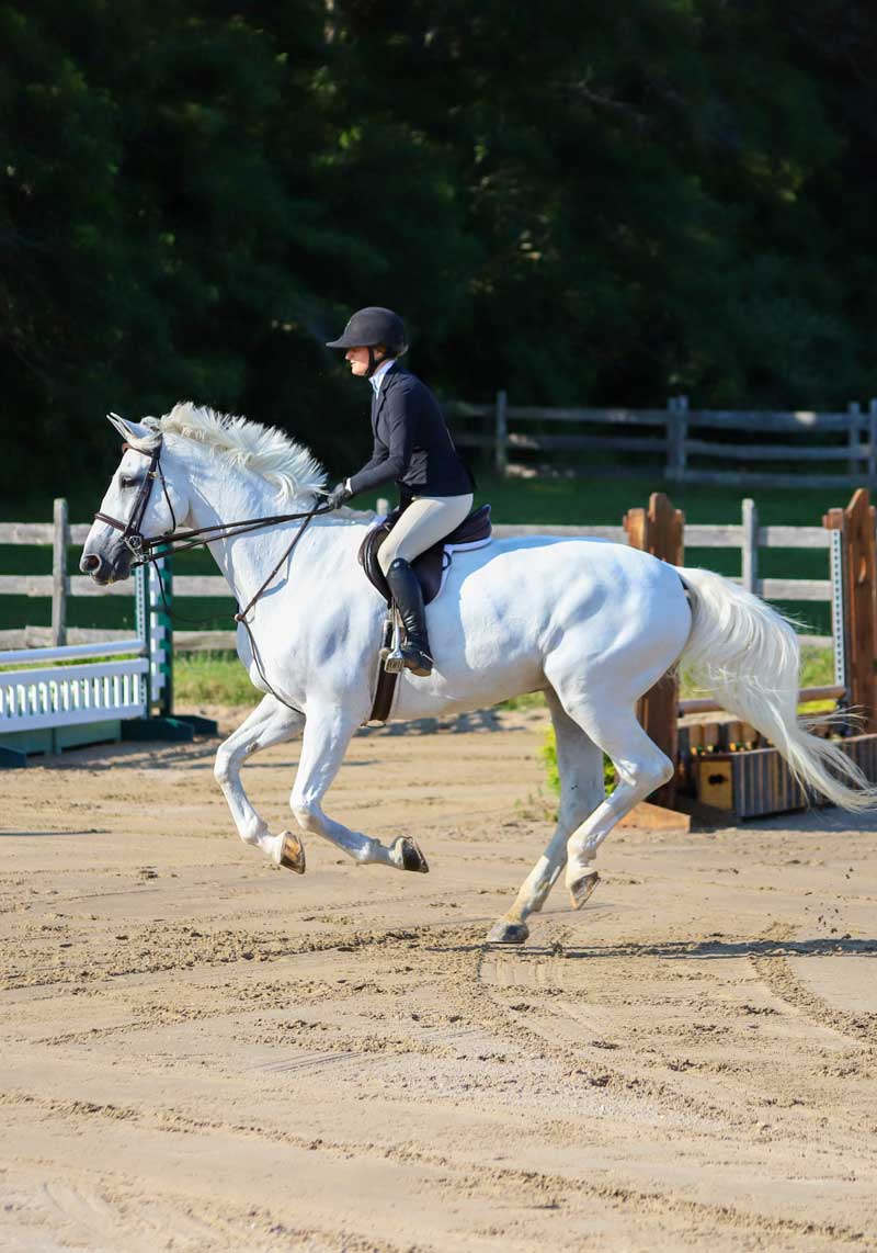 Equine Events – Sagefire Photography