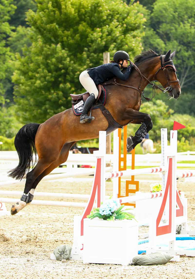 Equine Events – Sagefire Photography